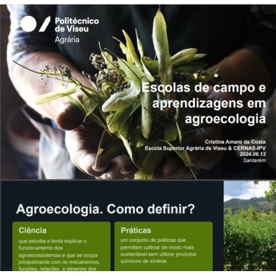 Diapositivos da apresentação "Escolas de campo e aprendizagens em agroecologia” do Webinar “Organização da produção na Agricultura Familiar em Agroecologia”