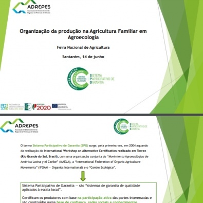 Diapositivos da apresentação "Sistemas Participativos de Garantia (no contexto do PROVE)" do Webinar “Organização da produção na Agricultura Familiar em Agroecologia”