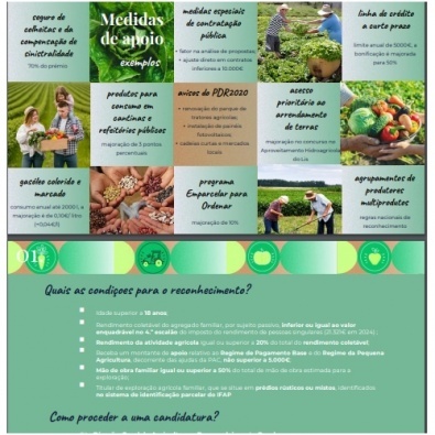 Diapositivos da apresentação "Estatuto da Agricultura Familiar" do Webinar “Organização da produção na Agricultura Familiar em Agroecologia”